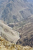 Colca Canyon